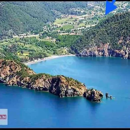 Mavi Zeytin Fethiye