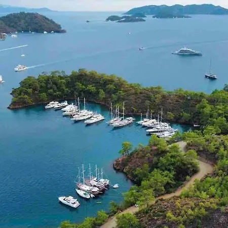 Nyaraló Mavi Zeytin Fethiye