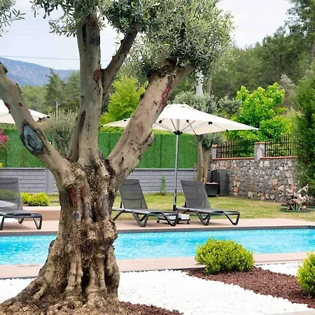 Mavi Zeytin Fethiye